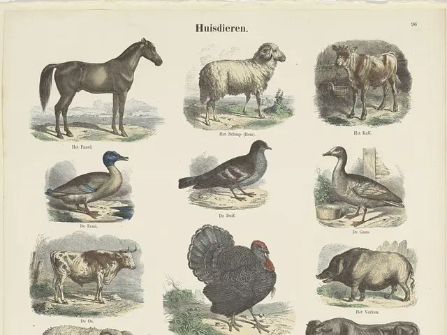 The image shows a book with a variety of farm animals, including a horse, a duck, and a hen, as...