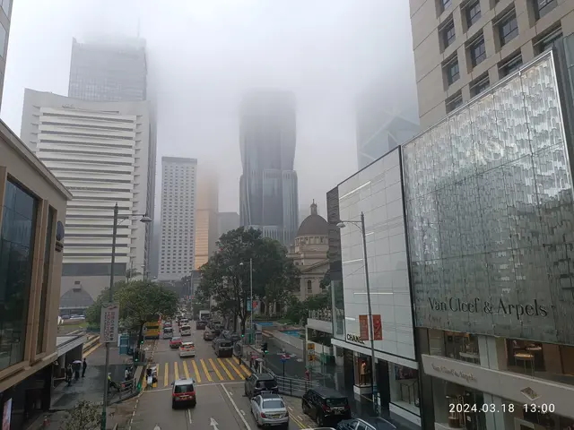 The image shows a city street filled with lots of traffic on a foggy day. We can see vehicles on...