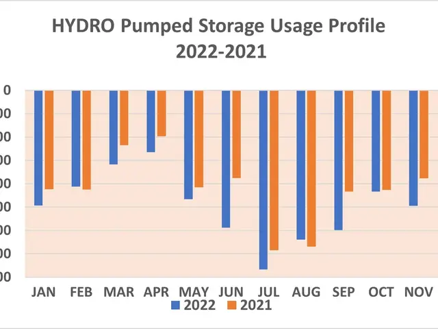 The image shows a graph depicting the hydro pumped storage usage profile from 2022 to 2021. The...