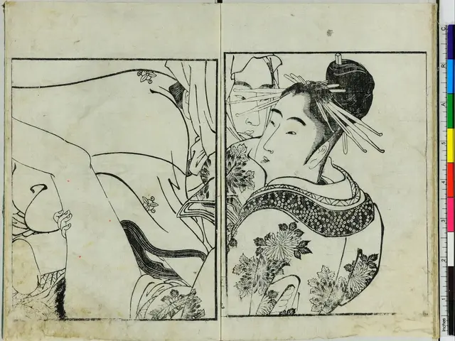The image shows a book with a drawing of a woman in a kimono and a man in a hat, both of whom...