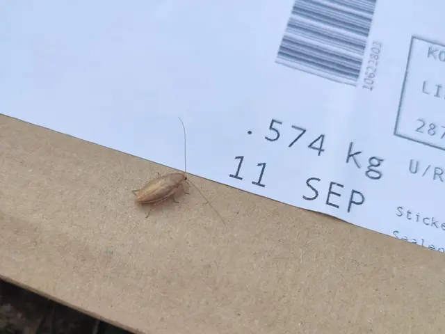 The image shows a cockroach crawling on top of a piece of paper with text and a barcode on it,...