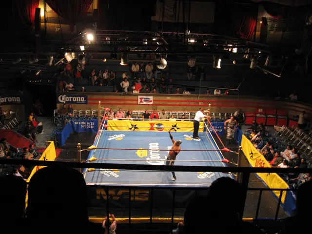 The image shows a wrestling ring with two wrestlers in the middle of it, surrounded by a crowd of...