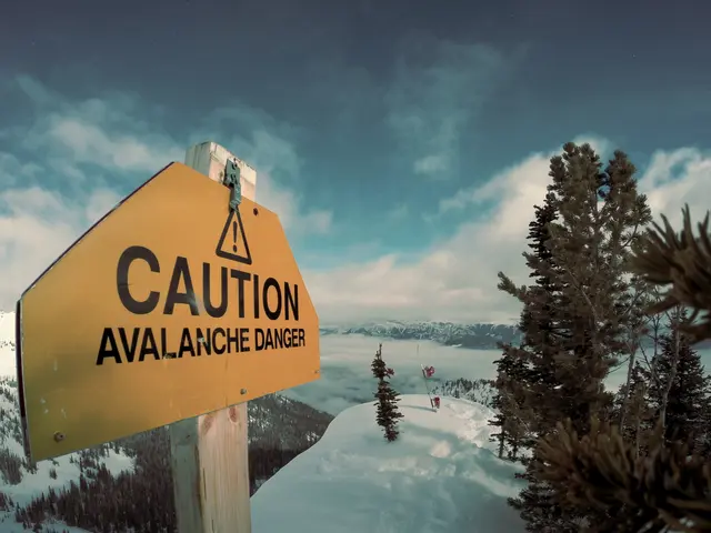 The image shows a caution avalanche danger sign attached to a wooden pole in the middle of a snowy...