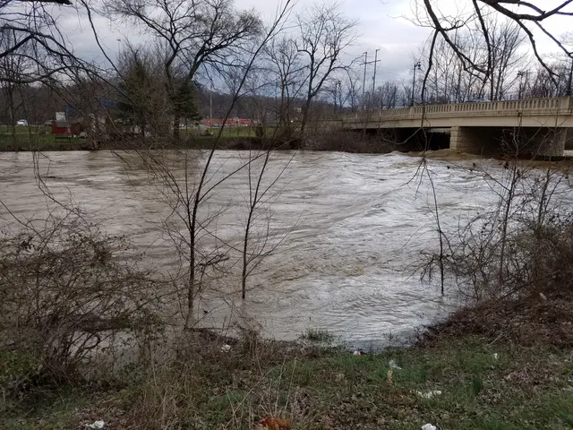 The image shows a bridge over a river with trees in the background, surrounded by grass and dry...
