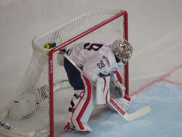 The image shows a hockey player wearing a sports dress, helmet, gloves, and knee pads, holding a...