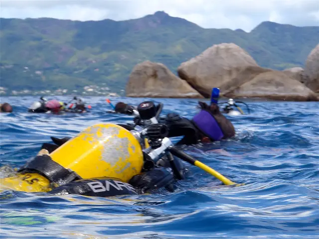 The image shows a group of scuba divers in the water near rocks, wearing oxygen cylinders and...