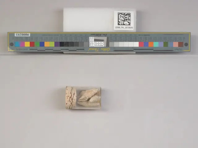 The image shows a scale with a QR code on it next to a small piece of paper, which appears to be a...