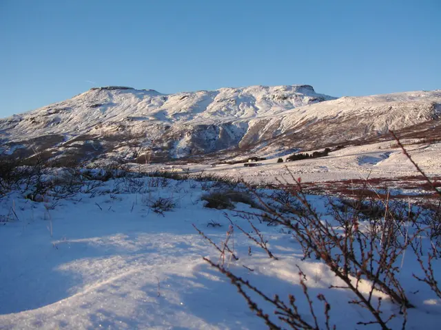 The image shows a snow covered mountain with a few plants in the foreground and a clear sky in the...