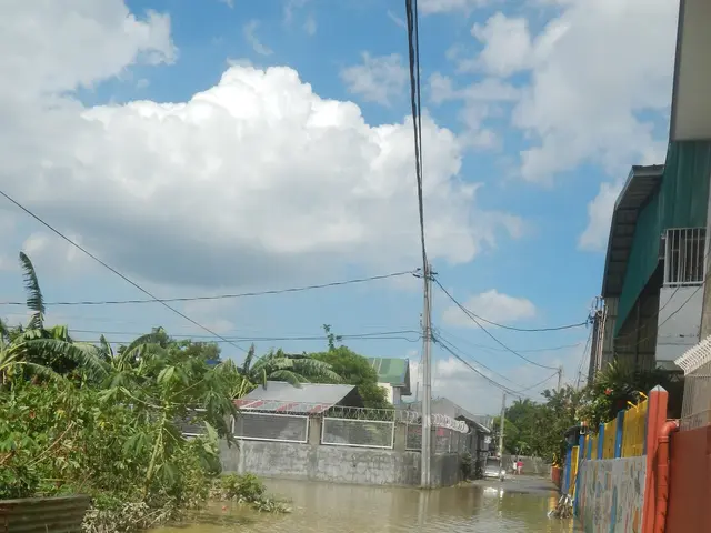 The image shows a flooded street in the middle of a city, with water covering the road, plants and...