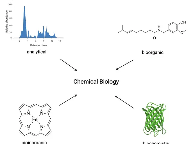 The image shows a diagram of the chemical biology process, with diagrams and text written on a...