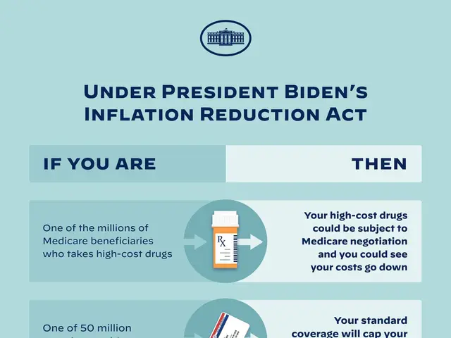 The image shows a poster with text and images that reads "Under President Biden's Inflation...