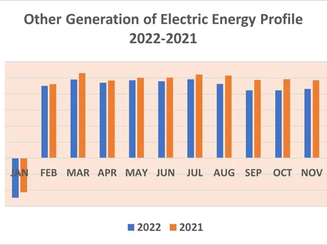 The image shows a graph depicting the other generation of electric energy profile from 2022 to...