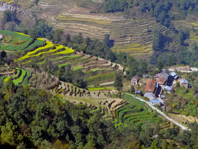 The image shows a lush landscape of terraced rice fields in Sapa, Vietnam, with trees, houses, and...