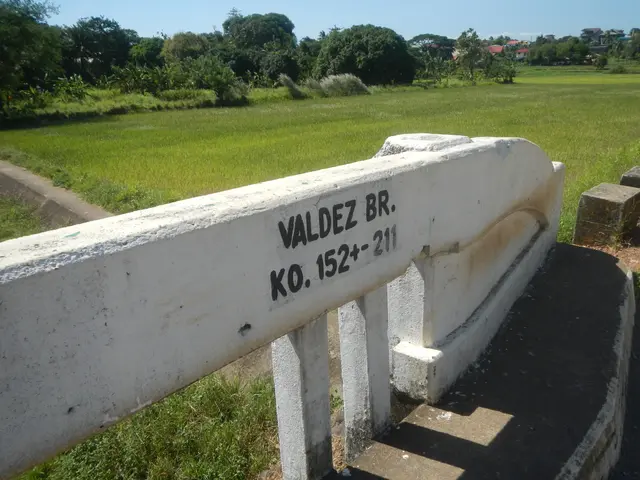 The image shows a concrete bridge with a sign that reads "Valdez Br" on it, surrounded by lush...