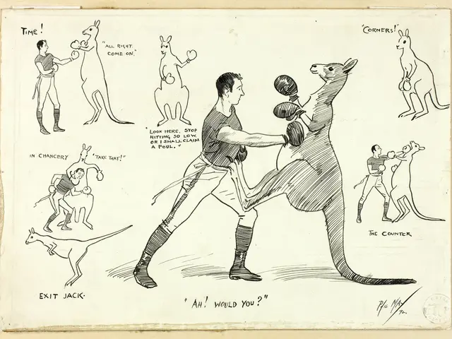 The image shows a drawing of a man and a kangaroo in a boxing ring, with the man wearing a boxing...