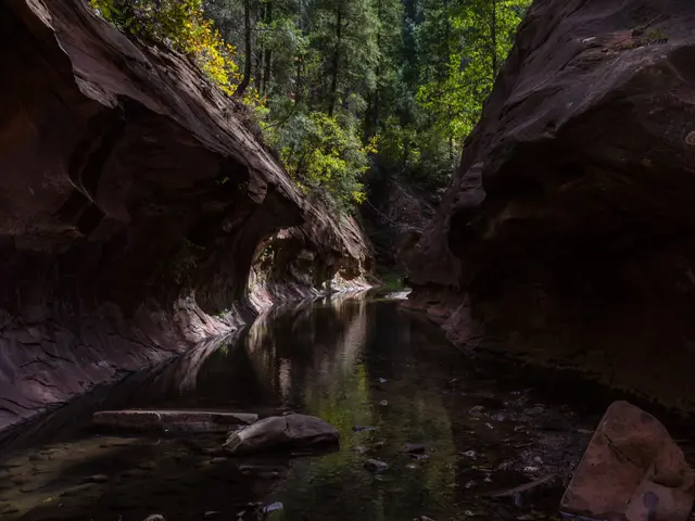The image shows the narrows of Zion National Park in Utah, with the water in the foreground, rocks...