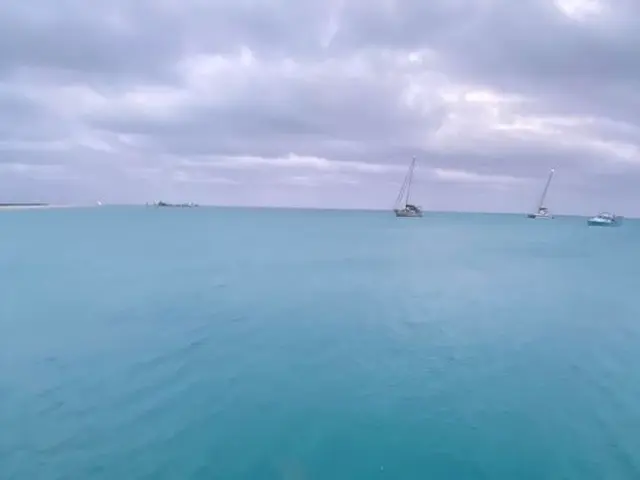 The image shows a great white shark swimming in the ocean near a wooden dock, with boats in the...