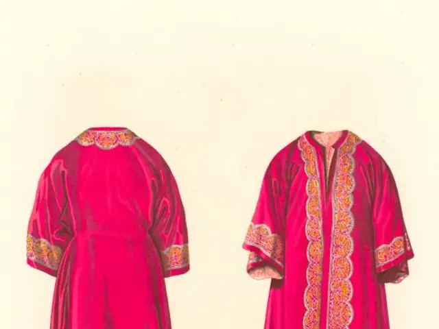 The image shows two pink dresses with intricate embroidery on them, set against a cream-colored...