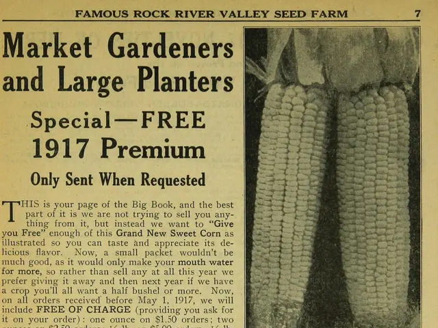 The image shows a paper with a picture of maize and text that reads "Market Gardeners and Large...