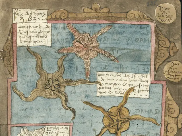 The image shows an open book with a drawing of a starfish on it. The starfish is surrounded by...