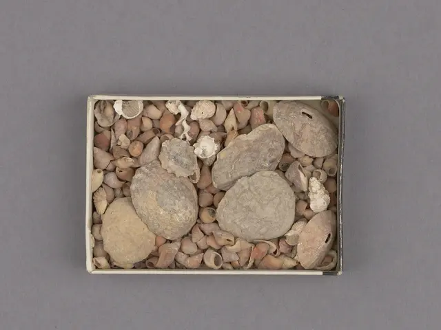 The image shows a box filled with rocks and pebbles on top of a table, with a scale and a piece of...