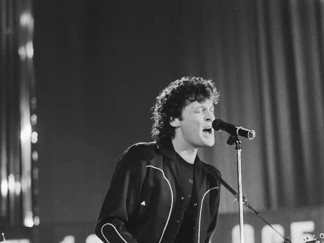 The image shows a man playing a guitar on stage at a concert, with a microphone in front of him and...