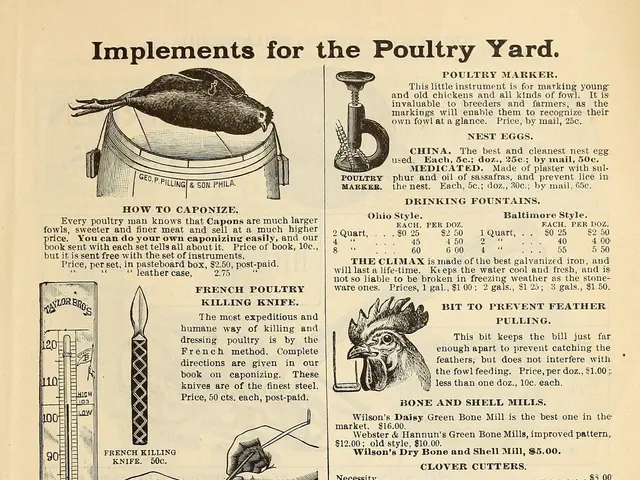 The image shows an old advertisement for a poultry yard, featuring a paper with text and pictures...