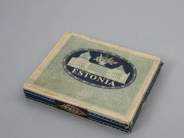 The image shows a blue and green box with the word "Estonia" written on it, sitting on a white...
