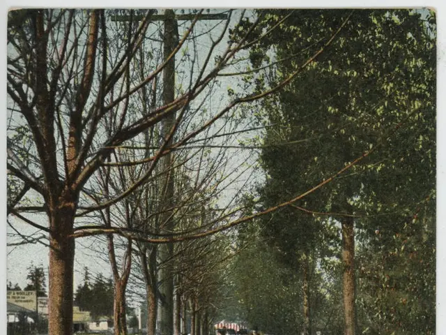 The image shows a shady walk at Madison Park in Seattle, Washington. There are people walking on...