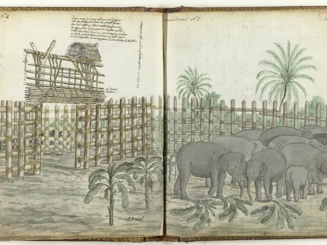 The image shows an open book with a drawing of a group of elephants in a zoo surrounded by trees,...