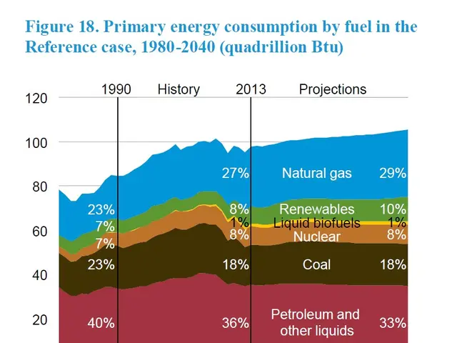 The image shows a graph depicting the primary energy consumption by fuel in the reference case from...