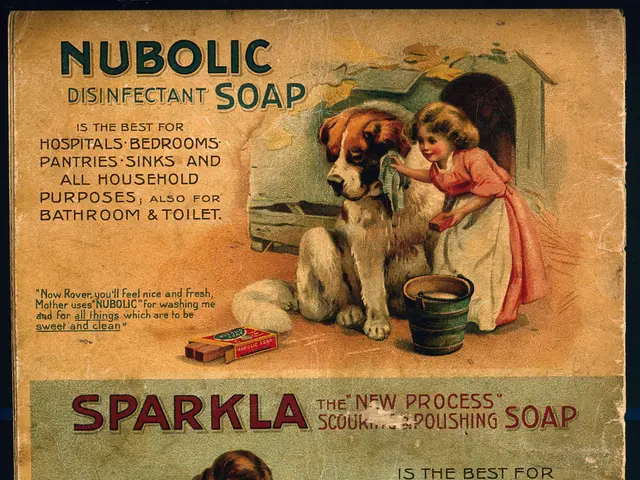 The image shows a poster with two children, a dog, a bucket, a cat, and other objects. The text on...