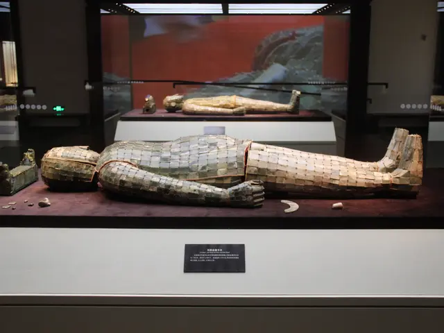 The image shows an Egyptian mummy in a glass case on display in a museum. The mummy is lying on a...