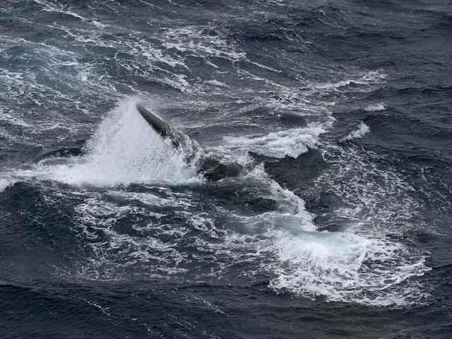 The image shows a humpback whale breaching the surface of the ocean, its powerful tail flupsing out...