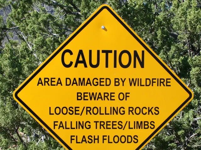 The image shows a yellow caution sign attached to a pole in the foreground, with trees in the...