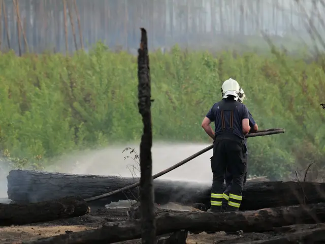The image shows a firefighter wearing a helmet and holding a hose, spraying water on a burned...