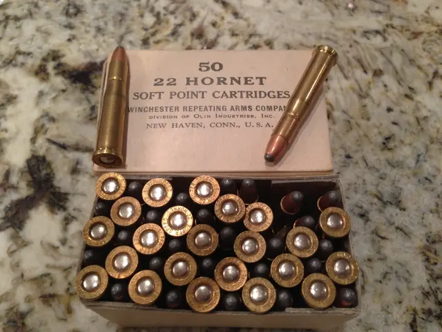 The image shows a box of 22 Hornet ammunition cartridges sitting on top of a counter, with a few...