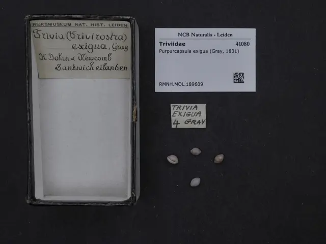 The image shows a box with a label on it sitting on top of a table, with a few objects on the...