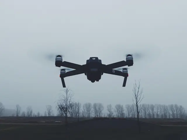 The image shows a DJI Mavic Air Fly More Combo drone flying over a field with trees in the...