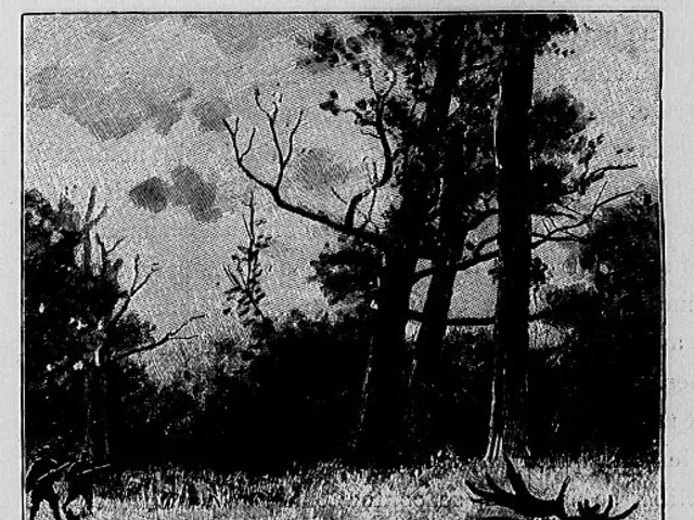 The image shows a black and white photo of a moose running through the woods, with trees in the...