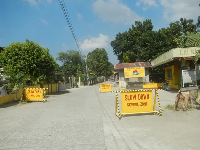 The image shows a road with a yellow sign that reads "Slow Down School Zone" on the side of it. On...