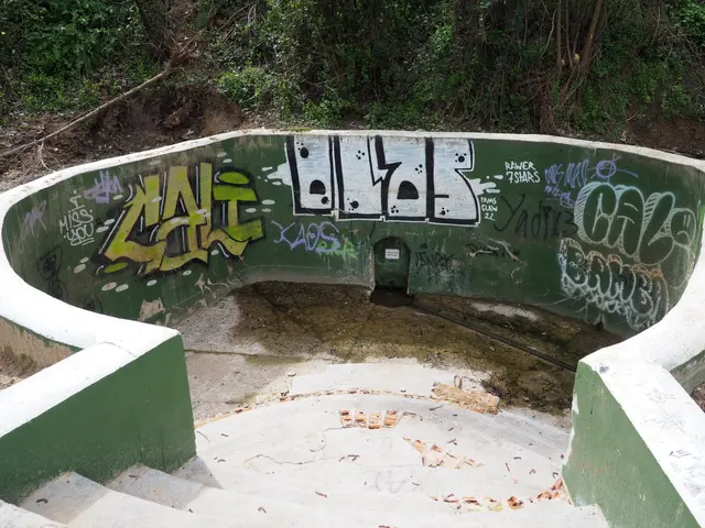 The image shows an abandoned swimming pool with graffiti on the side of it. At the bottom of the...