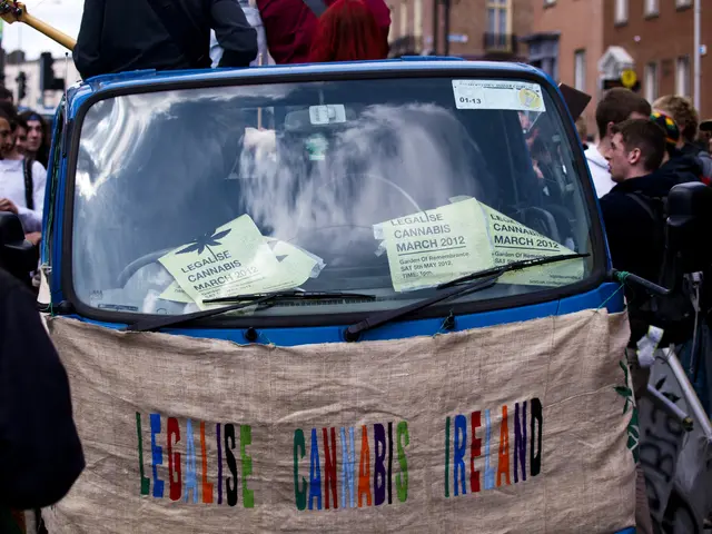 The image shows a group of people standing around a car with a sign that reads "Legalise Cannabis...