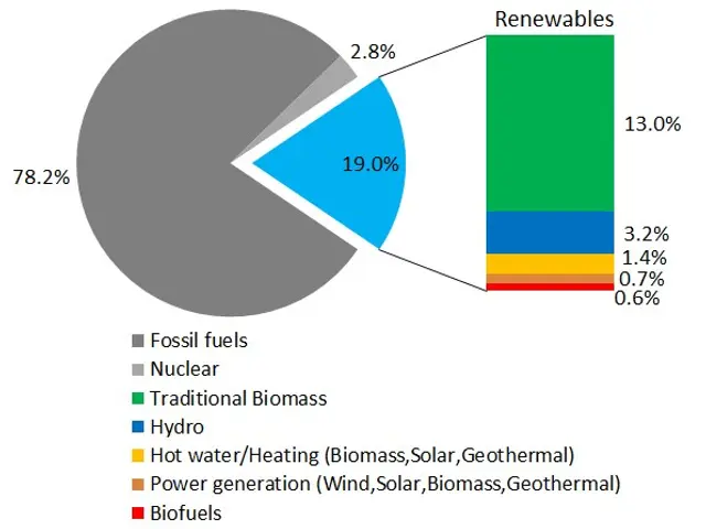 The image shows a pie chart depicting the global renewable energy consumption in 2008. The chart is...