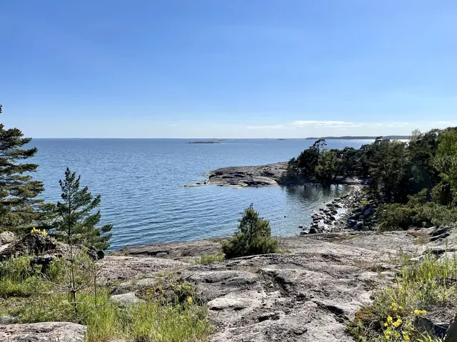 The image shows a view of the ocean from the top of a rocky cliff, with trees, plants, flowers, and...