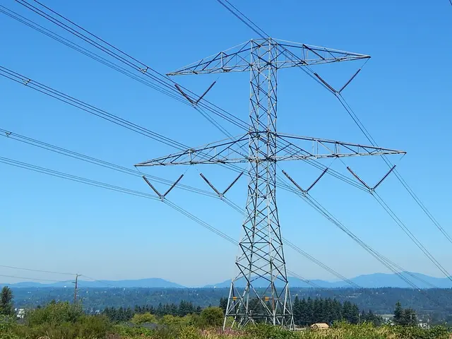 The image shows a high voltage power line in the middle of a field, surrounded by plants and trees....