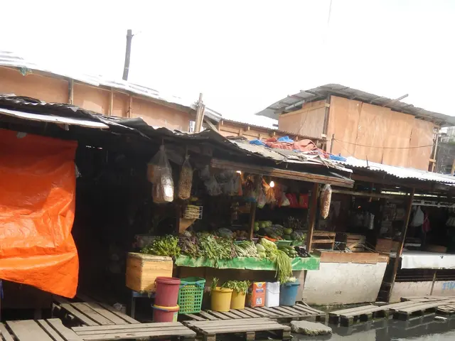The image shows a small fish market in the middle of a body of water, surrounded by houses, trees,...