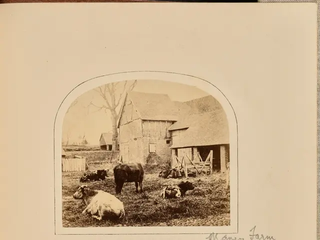 The image shows an open book with a picture of a farmyard in winter, featuring a few animals,...