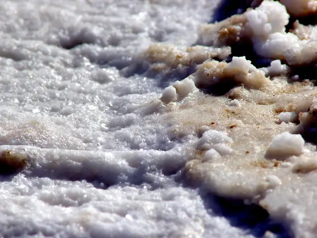 The image shows a close up of a snow covered ground with a lot of snow on it, and in the center of...