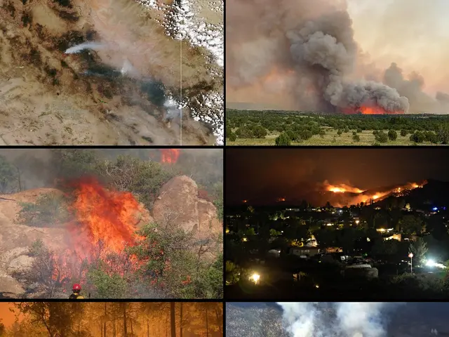 The image shows a collage of photos depicting the devastating effects of the California wildfires,...